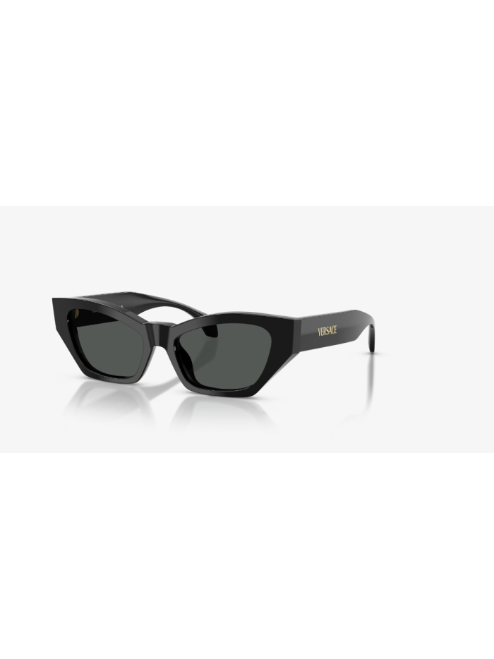 VERSACE 4488U